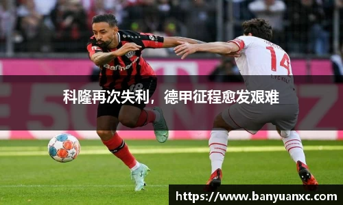 中欧体育