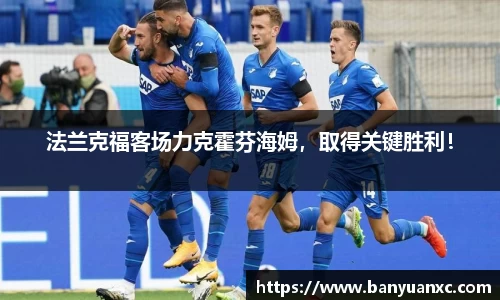 中欧体育