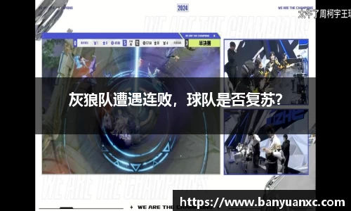 中欧体育官网