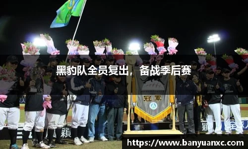 中欧体育官网
