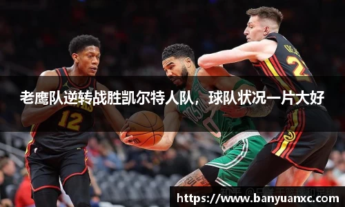 中欧体育