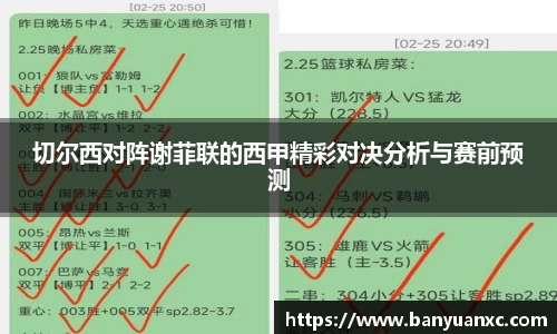 中欧体育网址