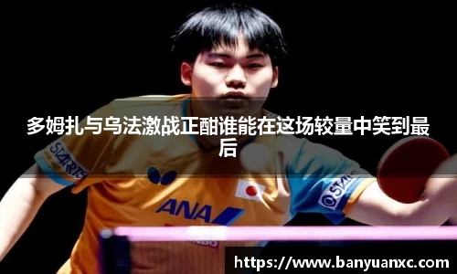 中欧体育网址