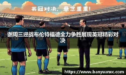 中欧体育网址