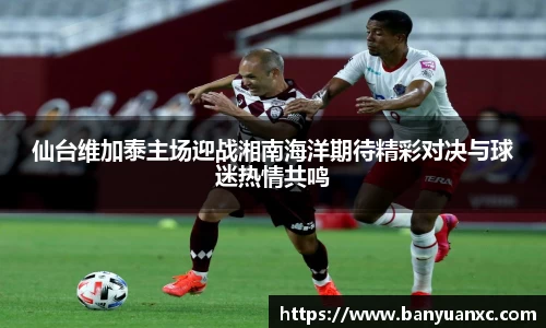 中欧体育