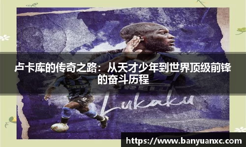 中欧体育