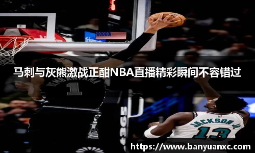 中欧体育网址