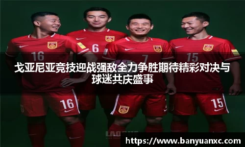 中欧体育官网
